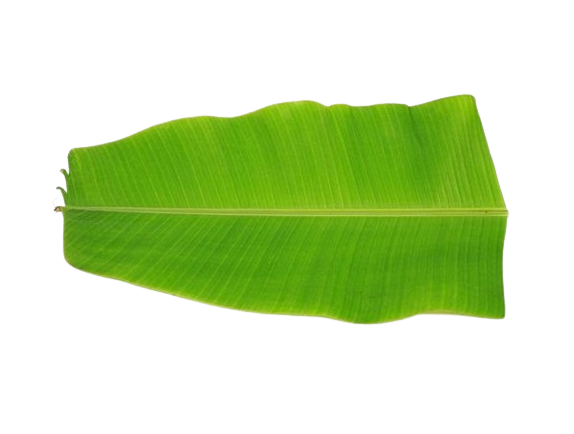 Banana Leaves
